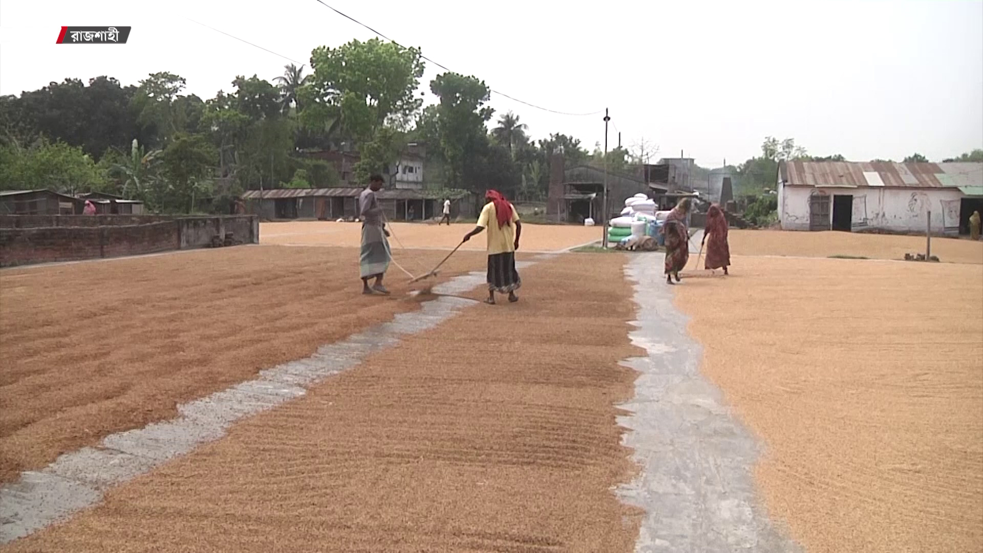 শাস্তির মুখে রাজশাহীর ৯১৩ চালকল